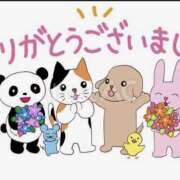 ヒメ日記 2026/05/02 15:43 投稿 水野ゆな 人妻家 古河・小山店