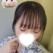 ヒメ日記 2026/07/04 11:00 投稿 きき DCP