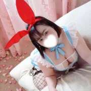 ヒメ日記 2026/03/28 09:52 投稿 夜桜（よざくら） 丸妻 錦糸町店