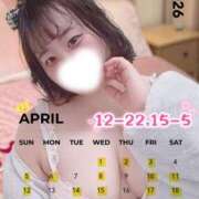 ヒメ日記 2026/03/31 19:10 投稿 夜桜（よざくら） 丸妻 錦糸町店