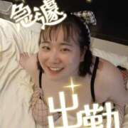 ヒメ日記 2026/04/15 07:11 投稿 夜桜（よざくら） 丸妻 錦糸町店