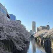ヒメ日記 2026/04/03 22:21 投稿 こころ・SP やまとなでしこ桜組