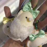こころ・SP だいすきﾅﾉ🍌 やまとなでしこ桜組