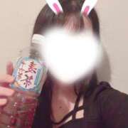 ヒメ日記 2026/03/25 20:46 投稿 れな ぷるるん小町梅田店