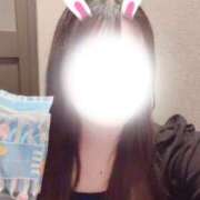 ヒメ日記 2026/04/09 13:58 投稿 れな ぷるるん小町梅田店