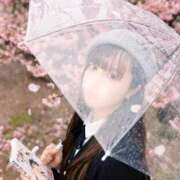 ヒメ日記 2026/03/26 05:32 投稿 こはく ジャパンクラブ富士