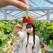 ヒメ日記 2026/04/03 09:12 投稿 こはく ジャパンクラブ富士