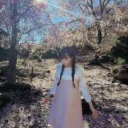 ヒメ日記 2026/04/07 06:16 投稿 こはく ジャパンクラブ富士