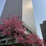 ヒメ日記 2026/03/31 18:17 投稿 はづき 角海老石亭