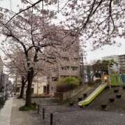 ヒメ日記 2026/04/01 08:26 投稿 はづき 角海老石亭