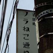 ヒメ日記 2026/04/09 08:47 投稿 はづき 角海老石亭
