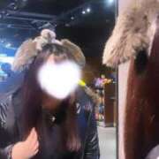 ヒメ日記 2026/03/26 12:15 投稿 るい ぷるるんギャング