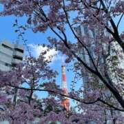 りな ２日目 新橋フェアリーズ