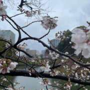 りな 3日目 新橋フェアリーズ