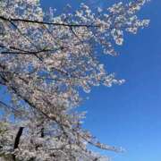 りな 出勤 新橋フェアリーズ