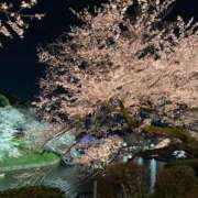 ヒメ日記 2026/04/08 10:50 投稿 りな 新橋フェアリーズ