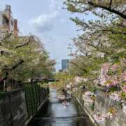 ヒメ日記 2026/04/11 17:00 投稿 りな 新橋フェアリーズ