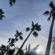 ヒメ日記 2026/04/19 10:29 投稿 りな 新橋フェアリーズ