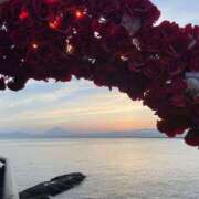 ヒメ日記 2026/04/23 09:49 投稿 りな 新橋フェアリーズ