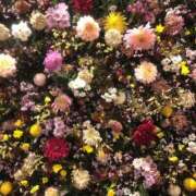 ヒメ日記 2026/04/25 09:34 投稿 りな 新橋フェアリーズ