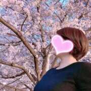 ヒメ日記 2026/04/06 06:08 投稿 あみ 素人妻達☆マイふぇらレディー