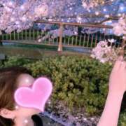 ヒメ日記 2026/04/07 06:48 投稿 あみ 素人妻達☆マイふぇらレディー