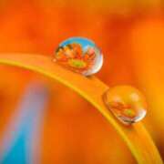 ヒメ日記 2026/04/10 11:38 投稿 あみ 素人妻達☆マイふぇらレディー