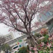 ヒメ日記 2026/03/21 01:03 投稿 右京（うきょう） 熟女の風俗最終章 名古屋店