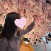 ヒメ日記 2026/03/25 07:01 投稿 桜庭ひな ヌルテカ