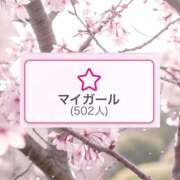ヒメ日記 2026/04/06 10:15 投稿 桜庭ひな ヌルテカ