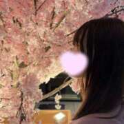 ヒメ日記 2026/04/07 10:30 投稿 桜庭ひな ヌルテカ