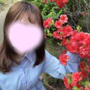 ヒメ日記 2026/04/26 07:00 投稿 桜庭ひな ヌルテカ