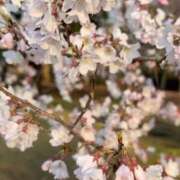 ヒメ日記 2026/03/22 23:16 投稿 まみ 奥様鉄道69 岡山店