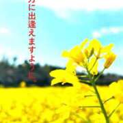 ヒメ日記 2026/03/31 12:22 投稿 まみ 奥様鉄道69 岡山店