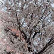 ヒメ日記 2026/03/30 11:30 投稿 みいな もしも素敵な妻が指輪をはずしたら・・・
