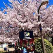 ヒメ日記 2026/04/08 15:24 投稿 まお 谷町豊満奉仕倶楽部