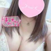 ヒメ日記 2026/04/18 12:56 投稿 まお 谷町人妻熟女奉仕倶楽部