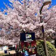 まお ✈️ マダムン谷九