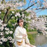 ヒメ日記 2026/04/20 07:46 投稿 天音とき 東京リップ八王子店