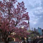 ヒメ日記 2026/04/11 09:15 投稿 真奈美-まなみ 熟女10000円デリヘル横浜