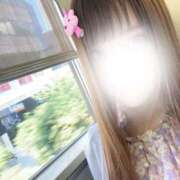 ヒメ日記 2026/03/29 08:31 投稿 ナギ マテリアル