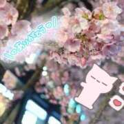 ヒメ日記 2026/04/02 19:25 投稿 笑美 五反田人妻城