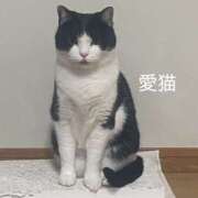 ヒメ日記 2026/04/08 18:37 投稿 クララ＠電撃移籍 スピード日本橋店