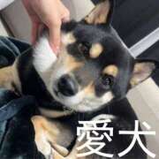 ヒメ日記 2026/05/06 07:47 投稿 クララ＠電撃移籍 スピード日本橋店