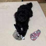 ヒメ日記 2026/03/25 14:56 投稿 希良(きら) 高知デリヘル倶楽部 人妻熟女専門店