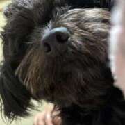 ヒメ日記 2026/04/01 16:38 投稿 希良(きら) 高知デリヘル倶楽部 人妻熟女専門店