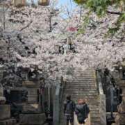 ヒメ日記 2026/04/15 01:38 投稿 岩井(いわい) 人妻出逢い会 百合の園 山の手本店