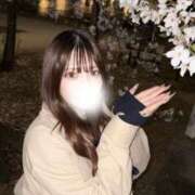 ヒメ日記 2026/04/03 08:01 投稿 シホ バニーコレクション新潟店