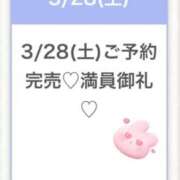 ヒメ日記 2026/03/28 11:13 投稿 まい★SS級美女元地方局アナ★ Bell～S級美女お姉様・人妻デリヘル～