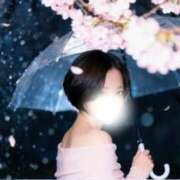 ヒメ日記 2026/04/01 12:46 投稿 まい★SS級美女元地方局アナ★ Bell～S級美女お姉様・人妻デリヘル～